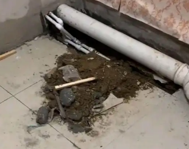 贞丰卫生间漏水检测哪家好