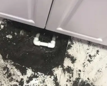 贞丰查漏水哪家好